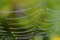 /album/%e7%a7%8b/a1-5-1-jpg/